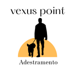 Vexus Point